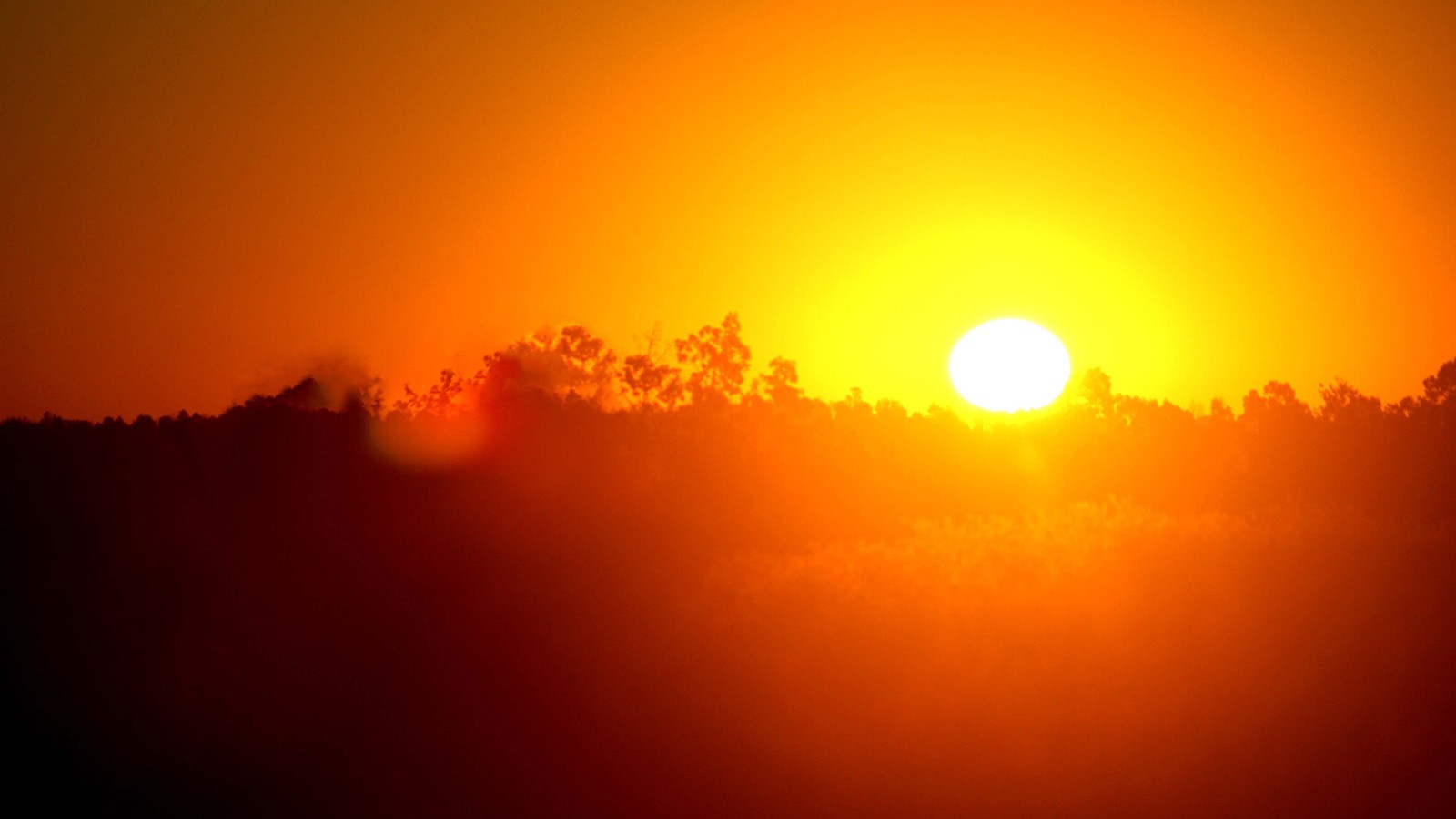 The Long Burn: Why Kenya’s Unusually Hot August is More Than Just a Weather Report